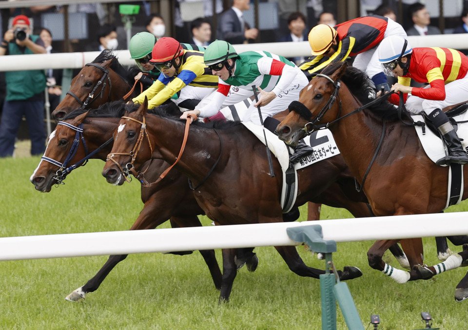 🏇 도쿄 경마장